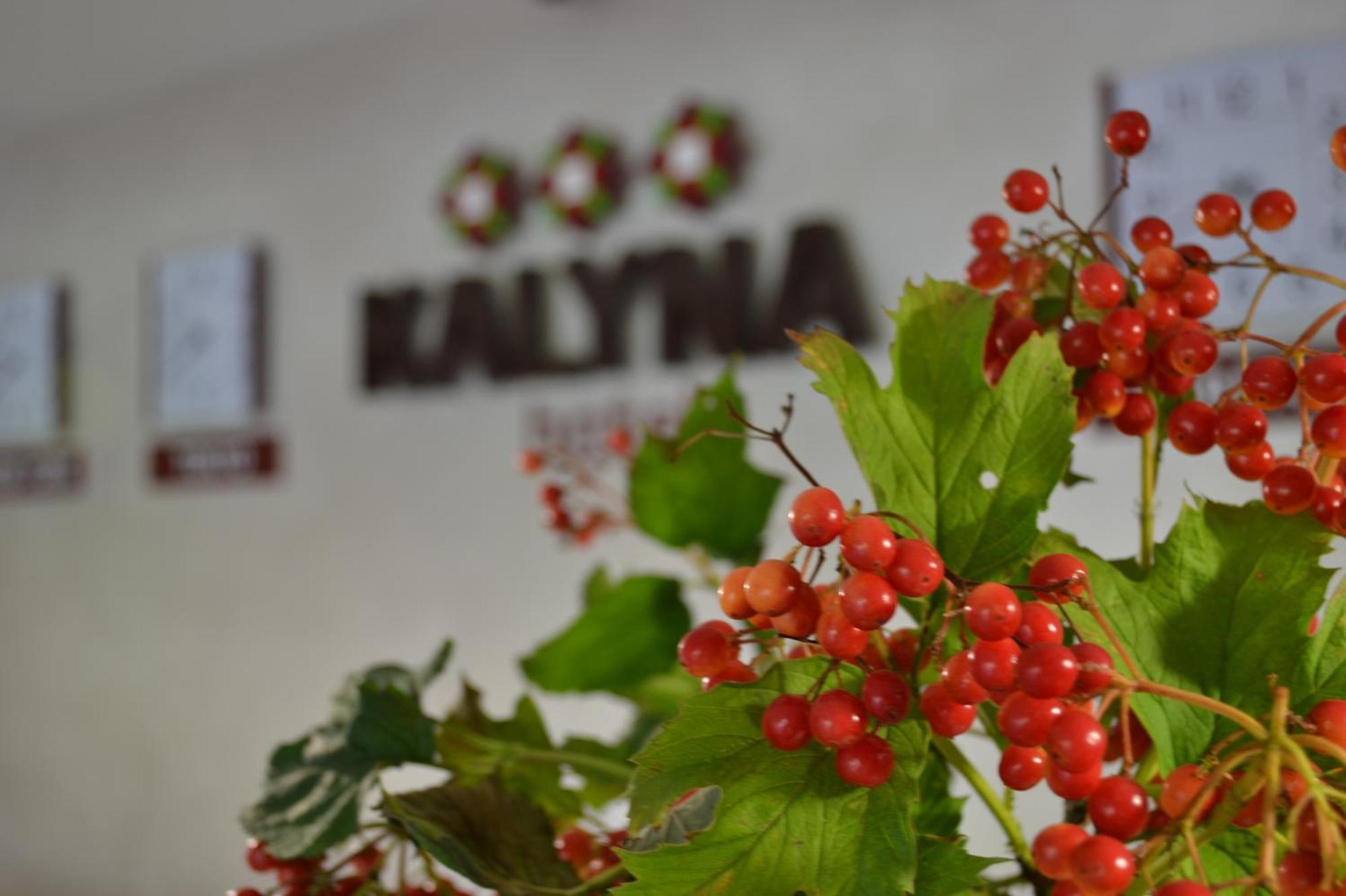 Hotel Kalyna คาร์คิฟ ภายนอก รูปภาพ